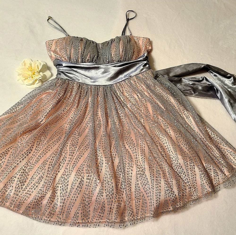 Party Dress by Windsor Silver and Pink
